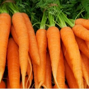 Meet your Posher, Mats